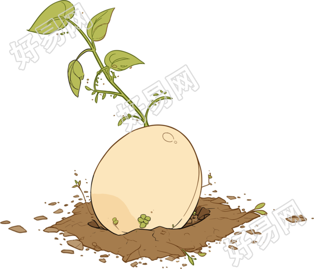 种子高清插画