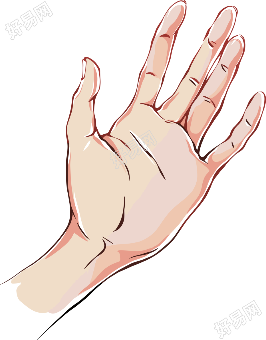 卡通手插画PNG素材