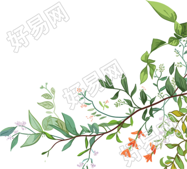 藤蔓边框手绘PNG图形素材