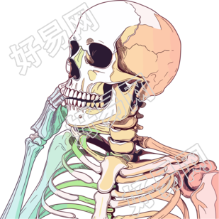 人体骨架医学图像素材
