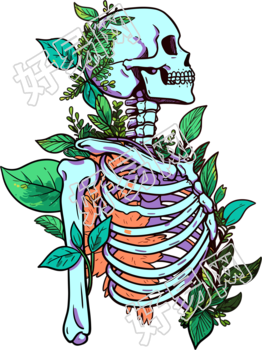 人体骨架PNG图标插画