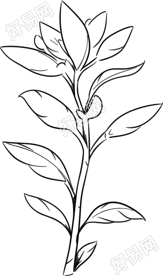 植树节画画作品简笔画
