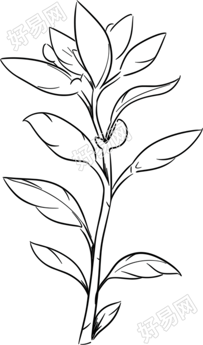 植树节画画作品简笔画