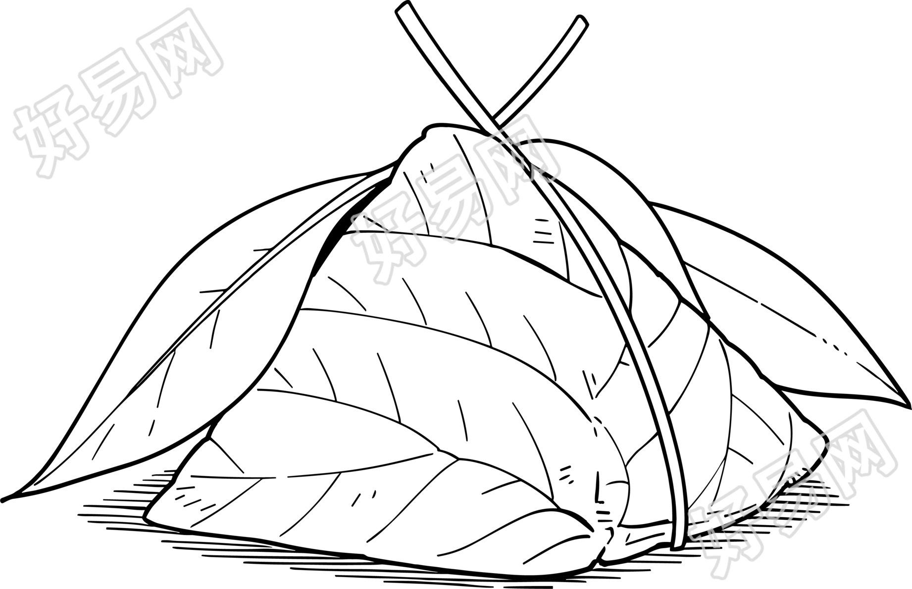 简笔画粽子