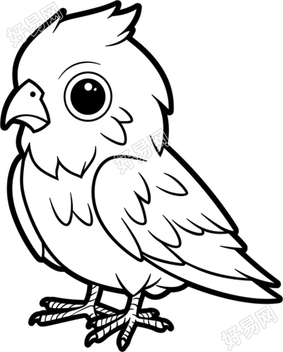 杜鹃鸟简笔画