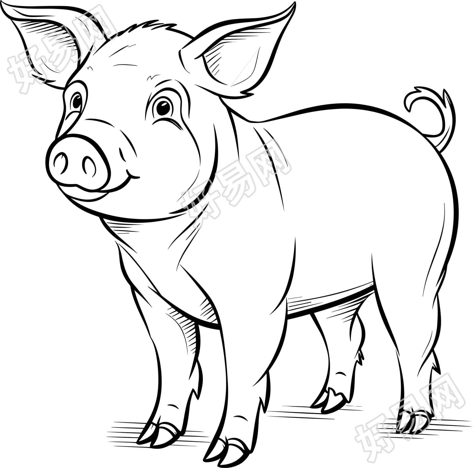猪的简笔画