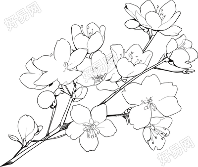 桃花简笔画