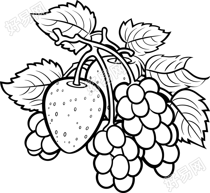 水果简笔画图片
