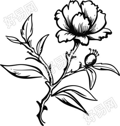 石榴花简笔画