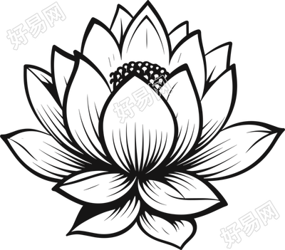 荷花简笔画大全
