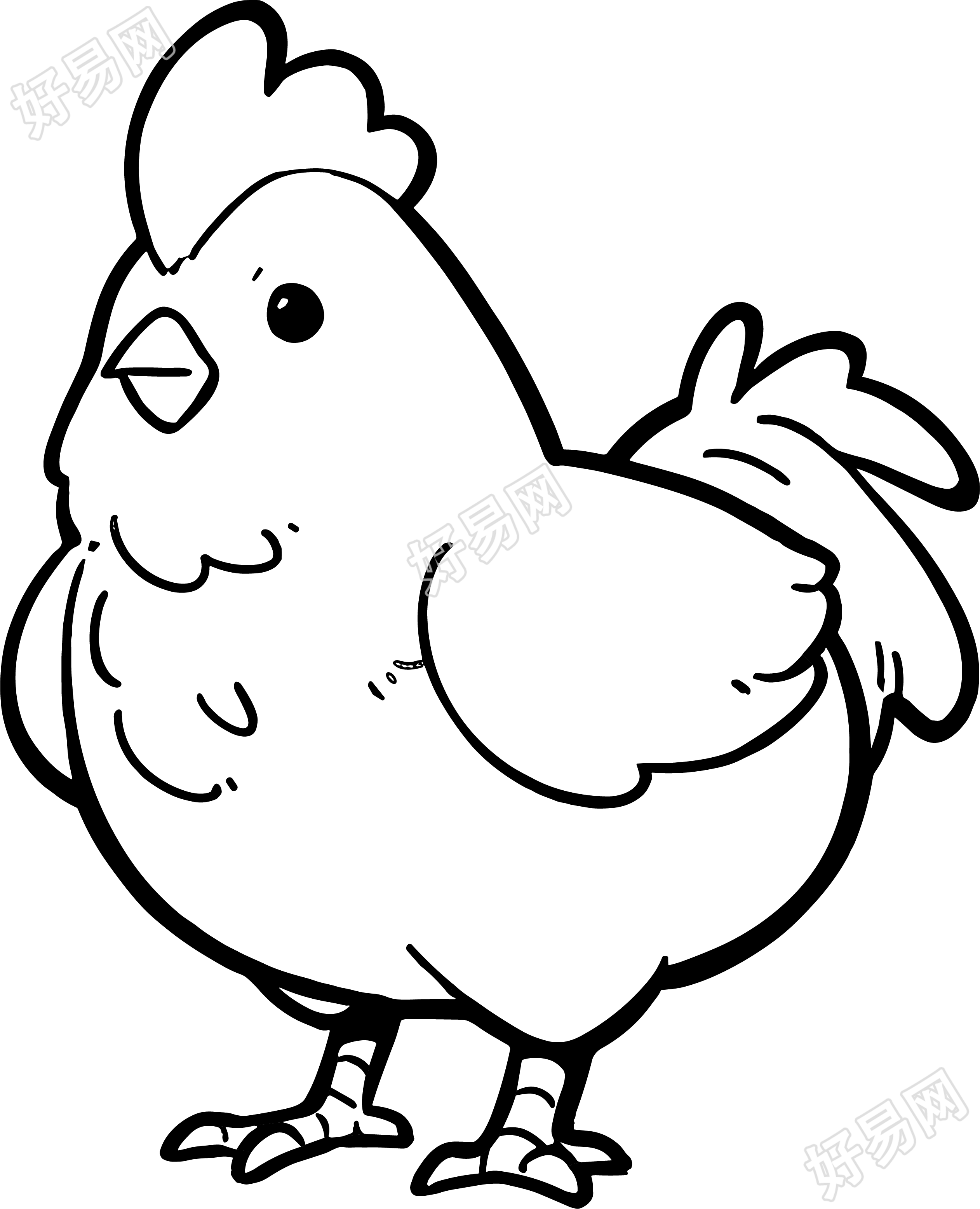 鸡的简笔画