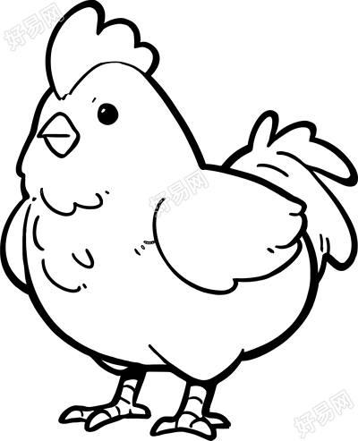 鸡的简笔画