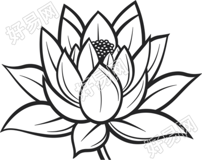 荷花简笔画图片