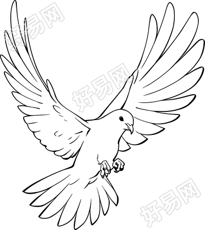 和平鸽简笔画