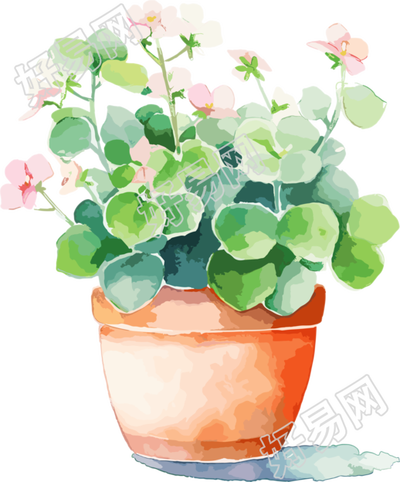 水彩花卉商业设计插画
