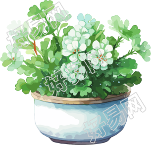 水彩花卉插画设计元素