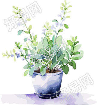 水彩花卉透明背景插画