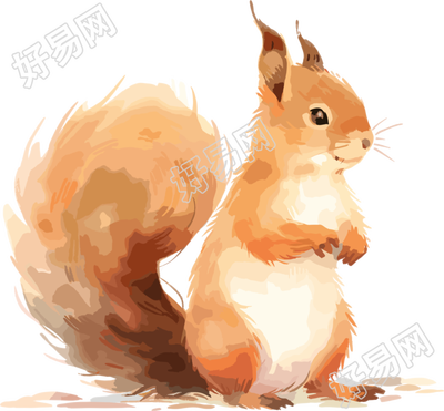 卡通松鼠创意设计插画