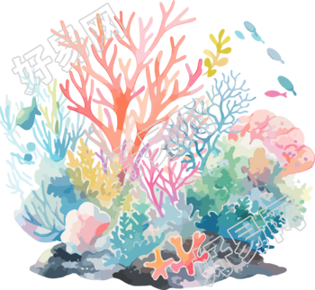 珊瑚透明背景插画
