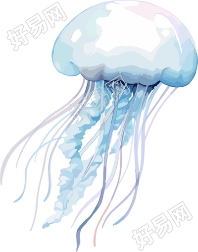 水母高清PNG素材