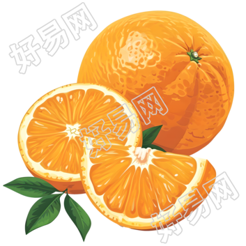 橙子PNG素材插画