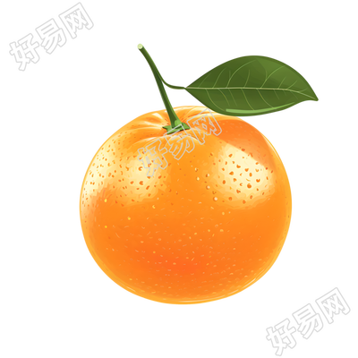 橙子水果插画设计