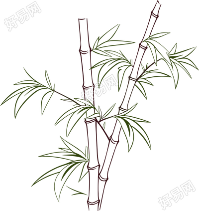 竹子简笔画