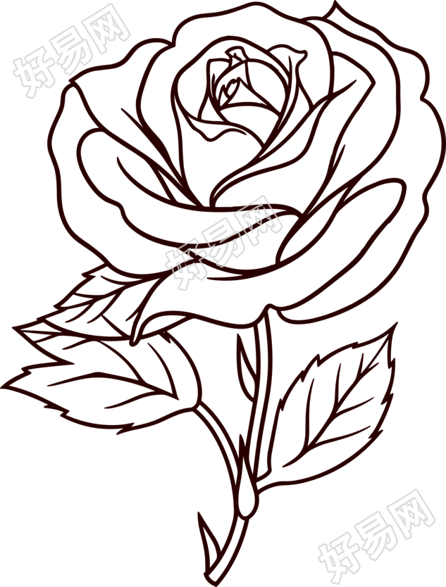 玫瑰花简笔画