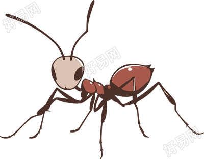 蚂蚁卡通手绘插画PNG素材