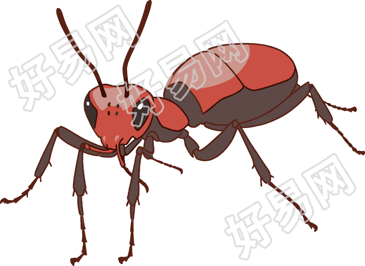 蚂蚁卡通PNG图形素材插画