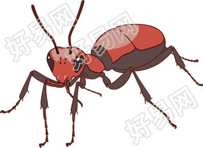 蚂蚁卡通PNG图形素材插画