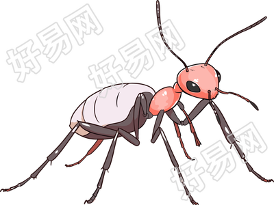 蚂蚁卡通手绘插画风格素材