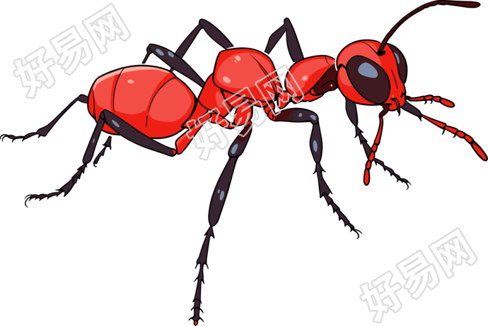 蚂蚁卡通商用插画