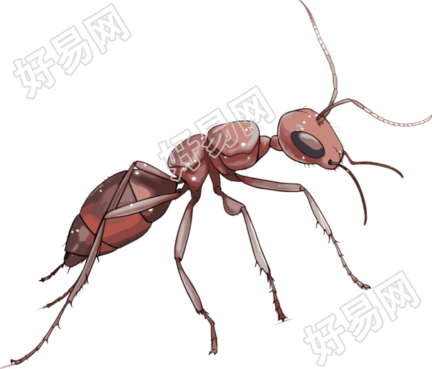 蚂蚁卡通商业设计元素