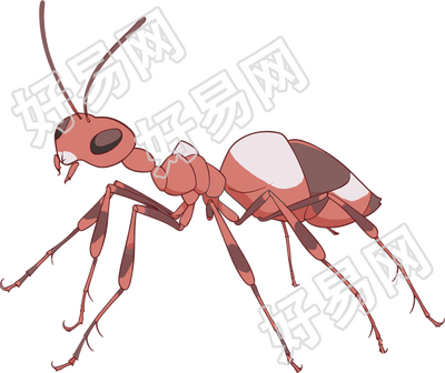 蚂蚁卡通透明背景插图