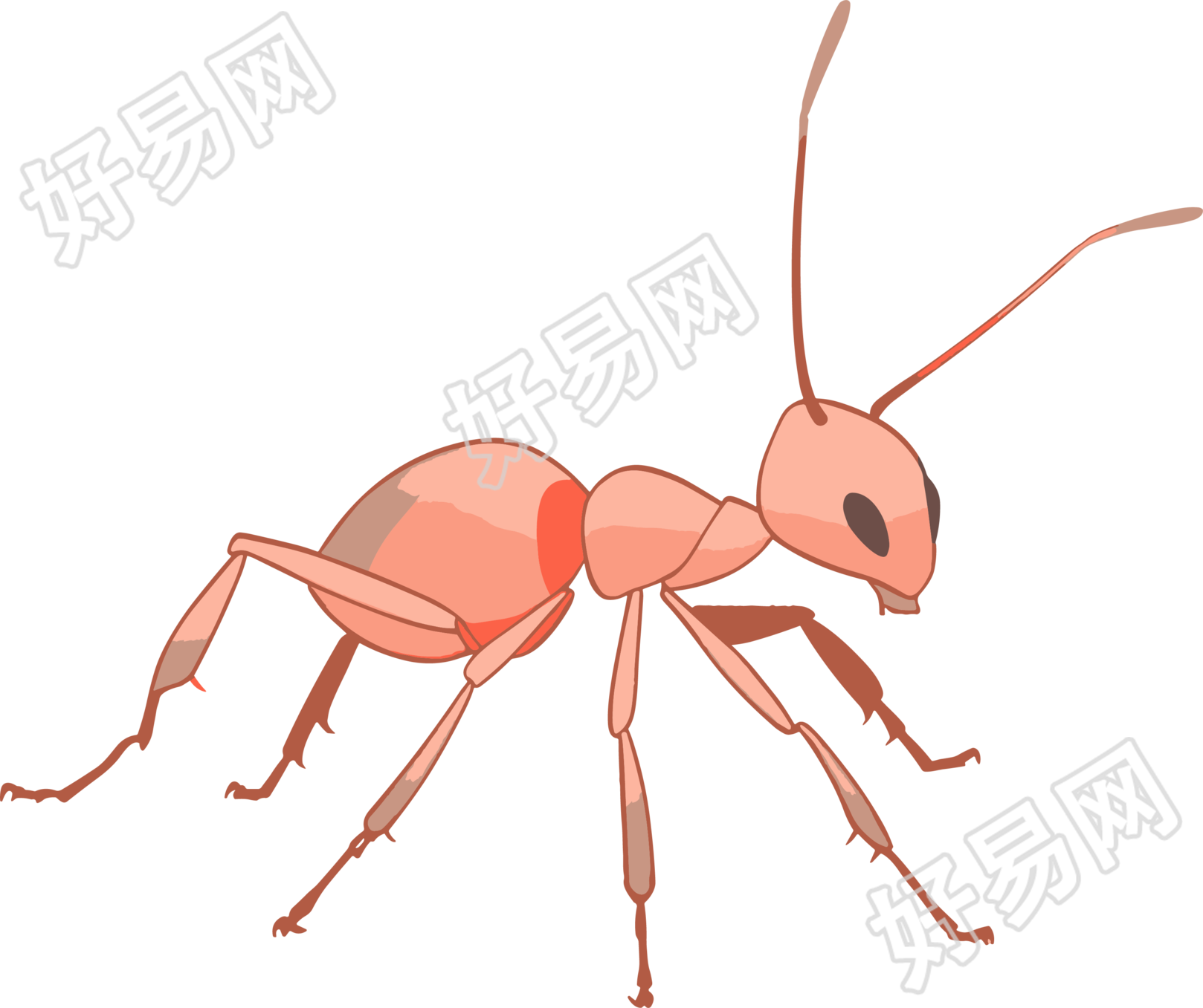 蚂蚁卡通创意设计元素