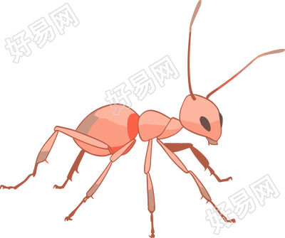 蚂蚁卡通创意设计元素