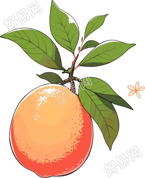 水果装饰橙子透明背景PNG素材