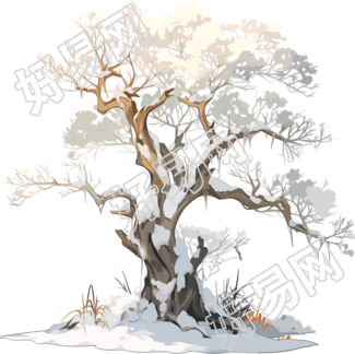冬天大树手绘风格插图