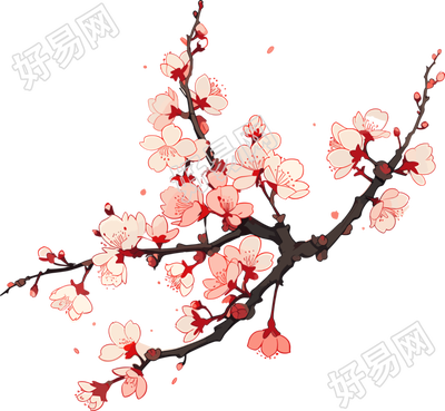 梅花高清透明背景插画