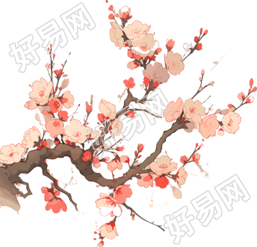 梅花PNG高清透明背景素材