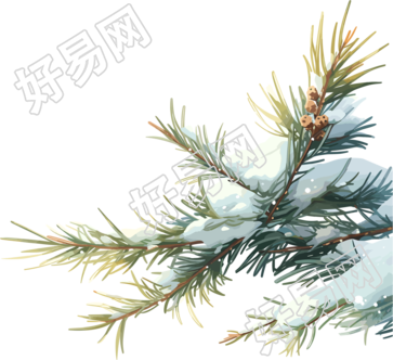 松枝上飘落的雪花素材
