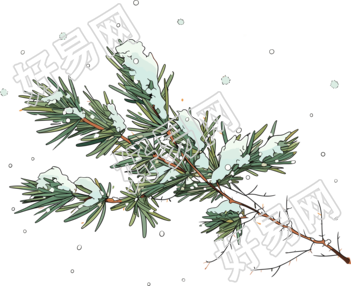 松枝积雪透明背景素材