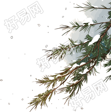 松枝积雪插图