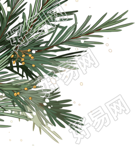 松枝积雪自然元素插画