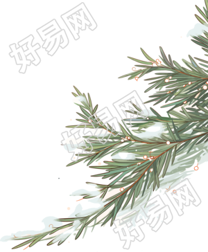 松枝积雪高清质量素材