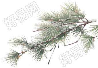 松枝积雪商业设计插画