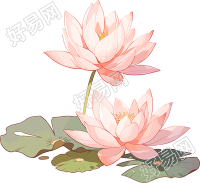 莲花高清图形设计元素