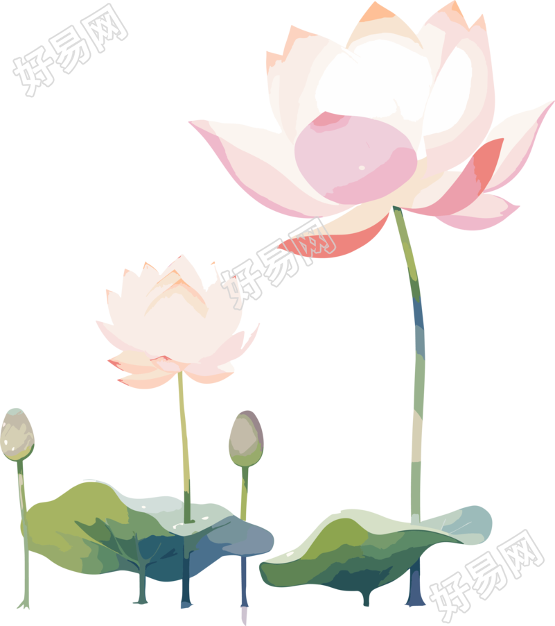 莲花简约儿童插画素材