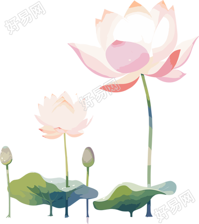 莲花简约儿童插画素材